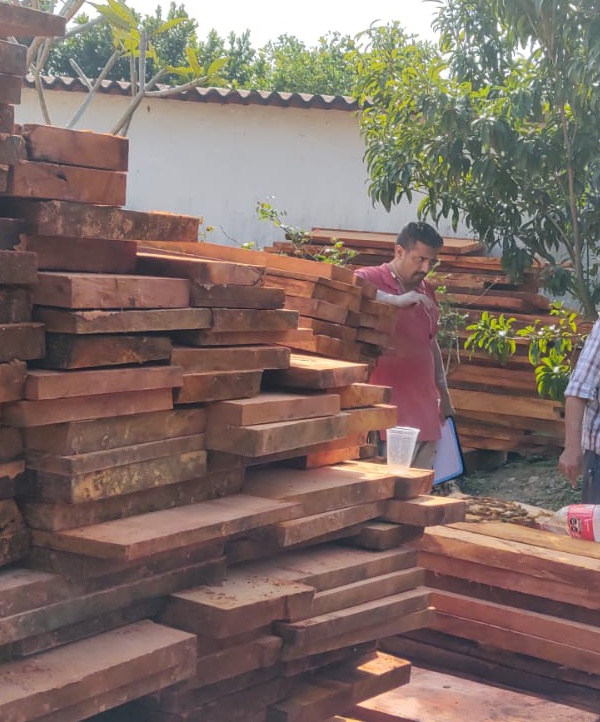 MADERA DE TRIPLAY AL MAYOREO EN CDMX