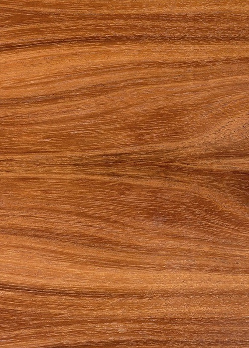 VENTA DE MADERA AL MAYOREO EN CDMX