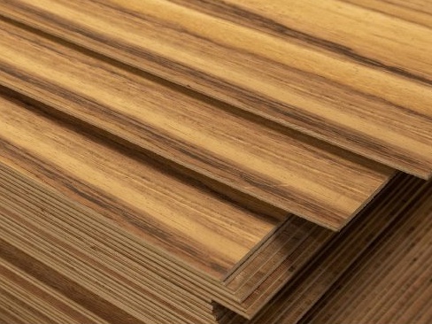VENTA DE MADERA DE PAROTA EN MÉXICO AL MAYOREO